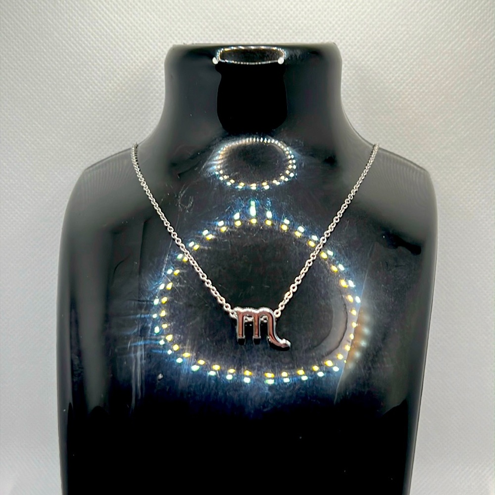 2/$6 🧪 SCORPIO Astrology Horoscope Necklace w/ Info Card - Picture 2 of 16